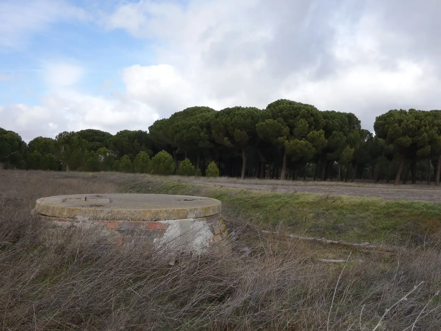 Land for sale in Alcazarén