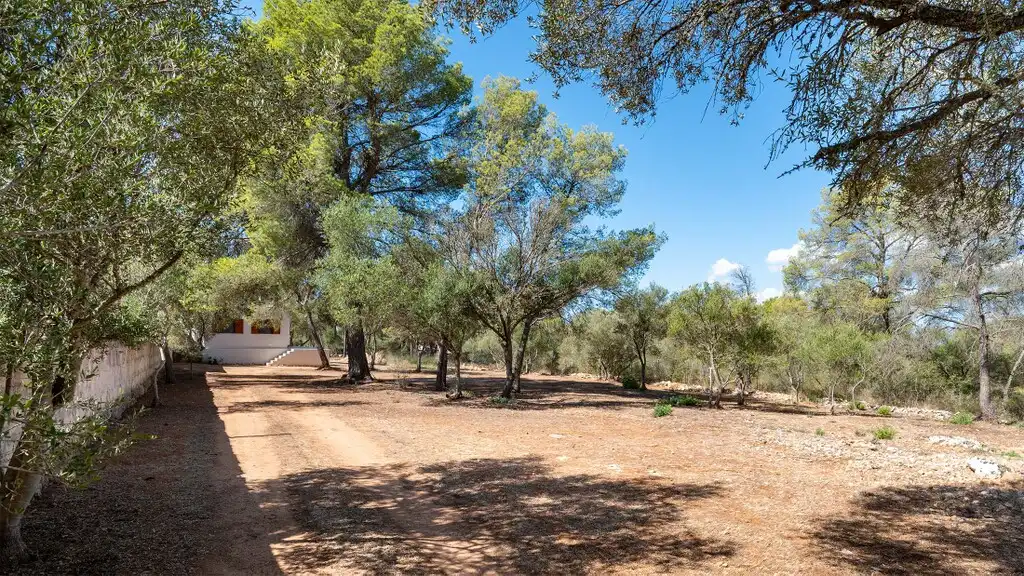 Casa rústica en venda a Algaida, imagen 15