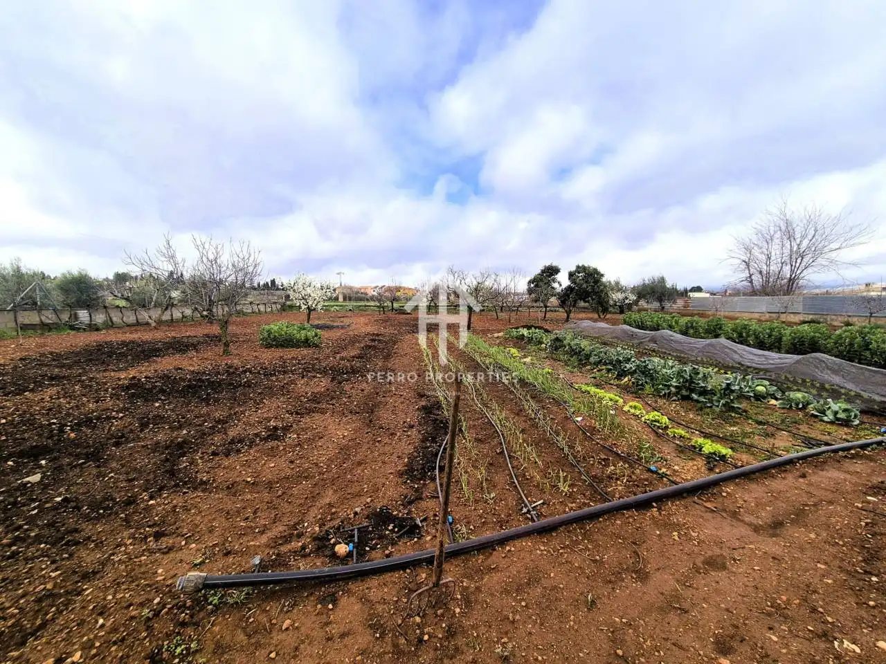 Finca rústica en venda en Moraleda de Zafayona amb Aire condicionat, Jardí privat i Piscina