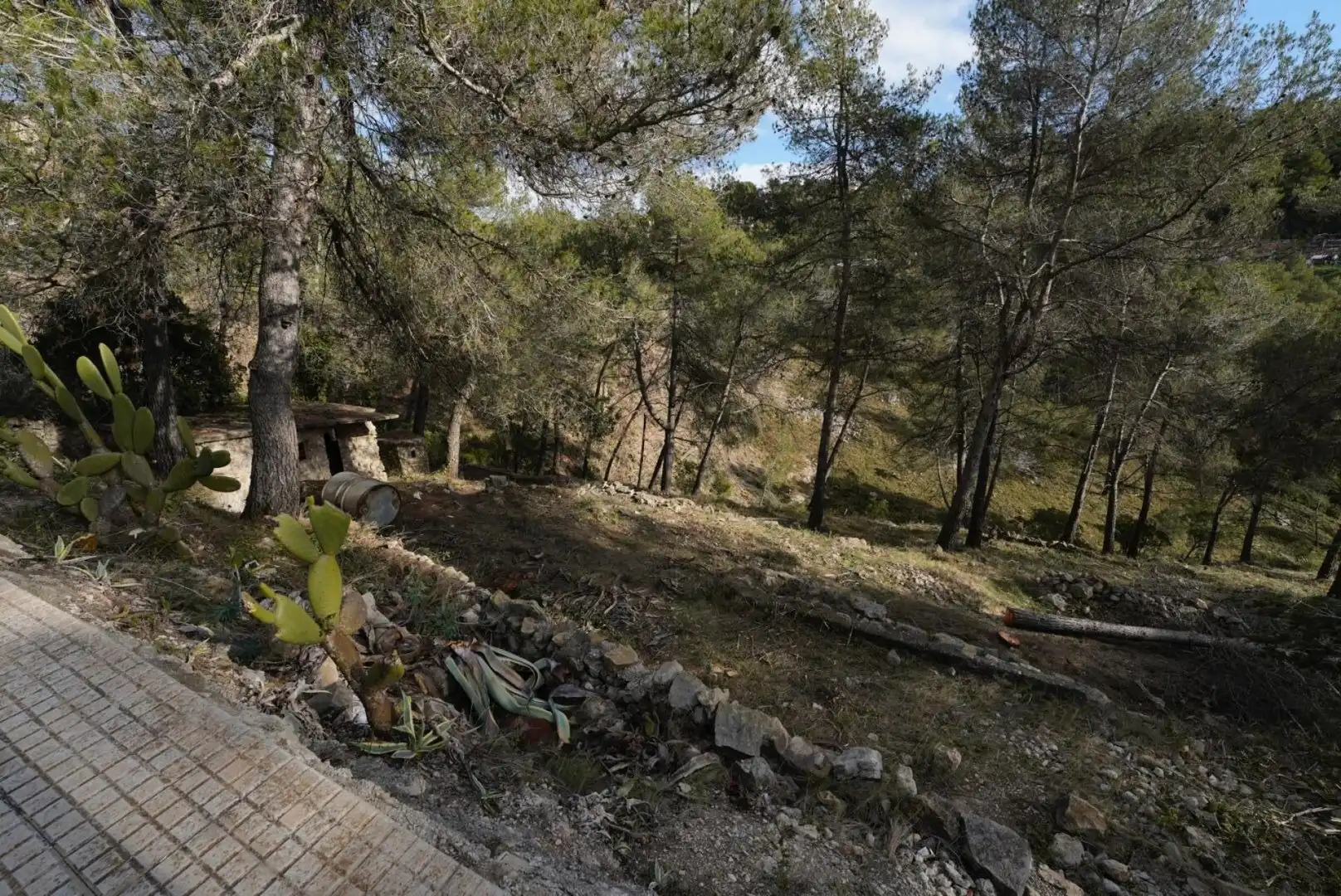 Terrenys i solars en venda a Olesa de Bonesvalls, imagen 3