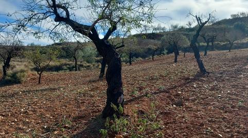 Photo 3 of Premises for sale in Lubrín, Almería