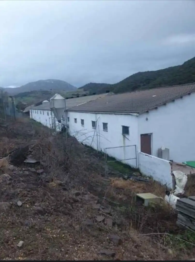 Exterior view of Industrial buildings for sale in Salinas de Oro / Jaitz