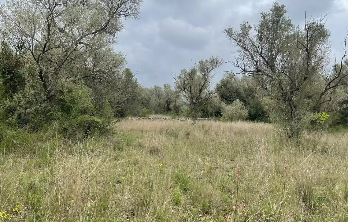 Rural land for sale in Ptda Mas De Rector, imagen 8