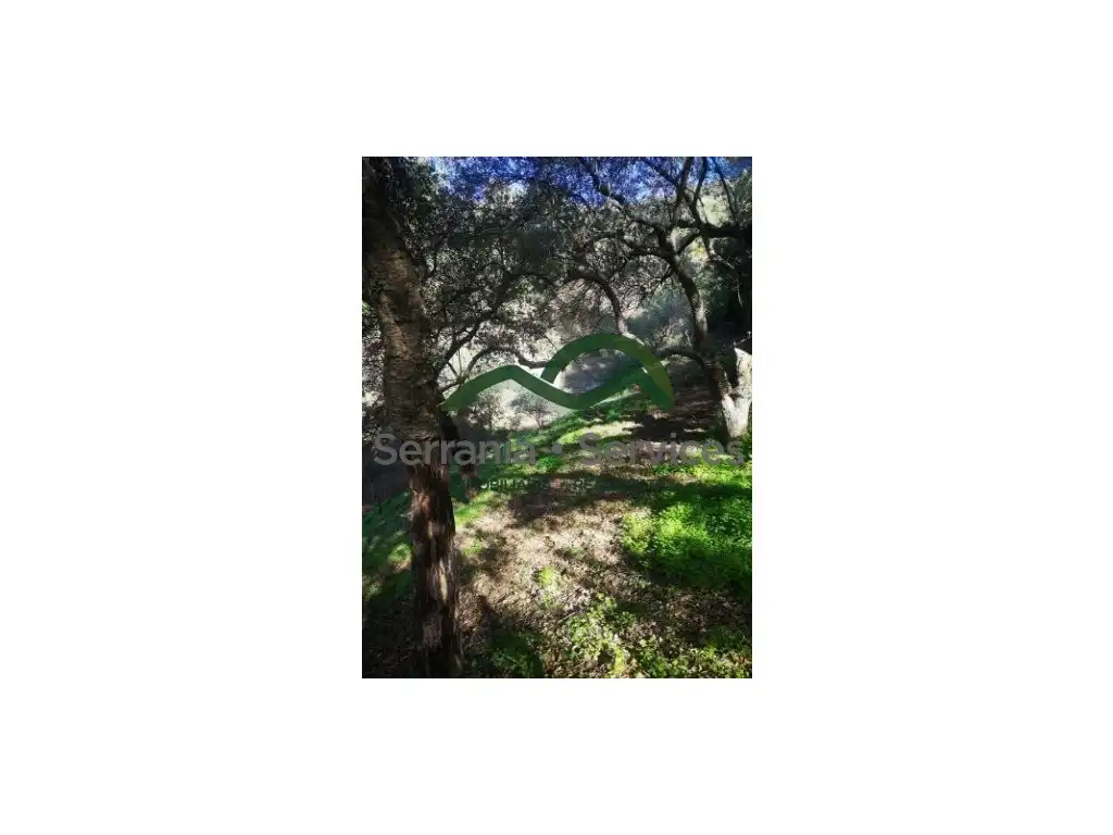 Finca rústica en venda en Genalguacil