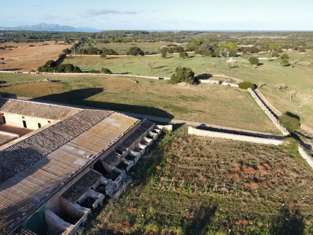 Finca rústica en venta en Santa Margalida