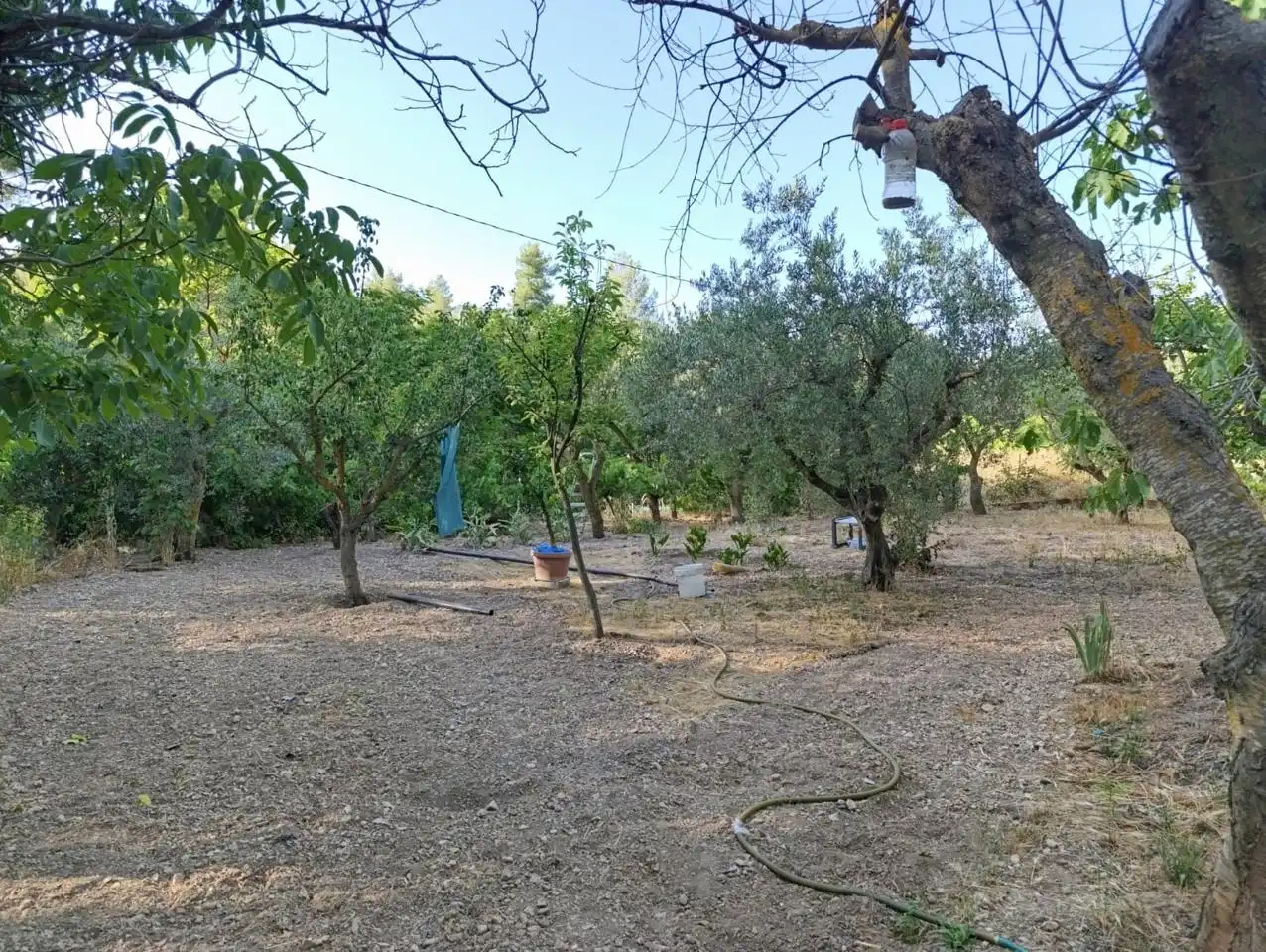 Casa rustica in vendita a Ibi, imagen 4