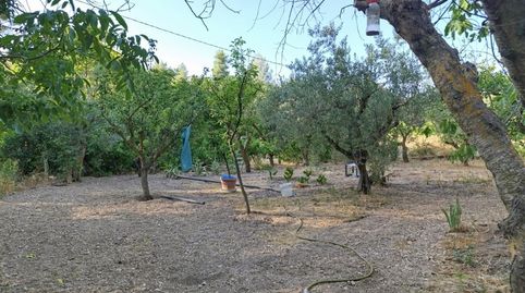CASA DE CAMPO CERCA DEL PUEBLO DE IBI, imagen 4