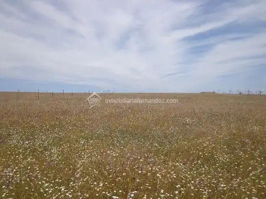 Casa rústica en venda a Sierra de Fuentes