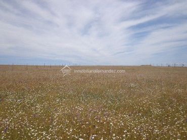 Casa rústica en venda a Sierra de Fuentes