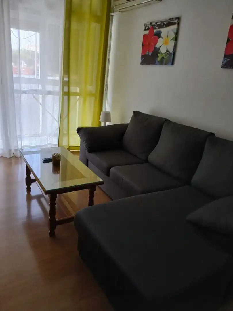 Living room of Flat for rent in Huelva  with Air Conditioner, Parquet flooring and Terrace
