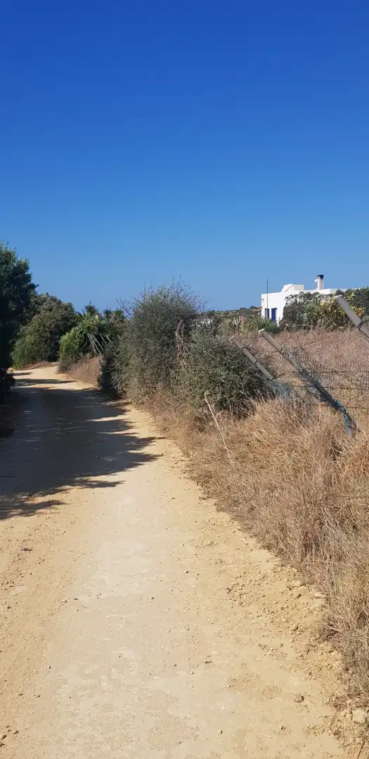 Terreny rústic en venda a Vejer, imagen 8