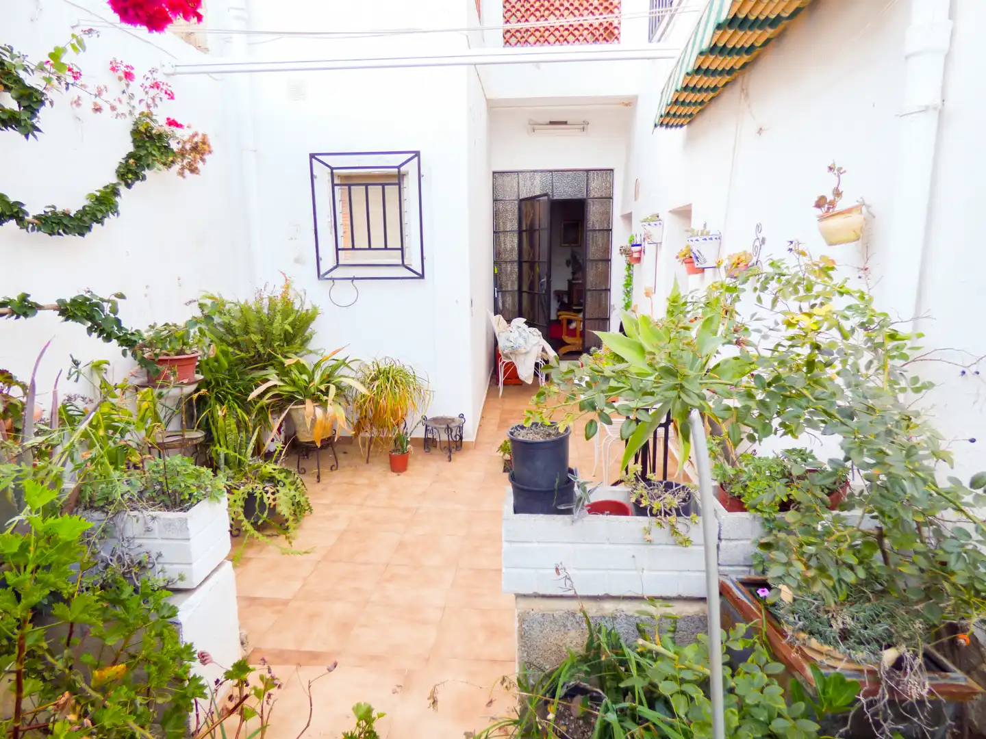 Jardí de Casa adosada en venda en Sagra amb Jardí privat i Terrassa