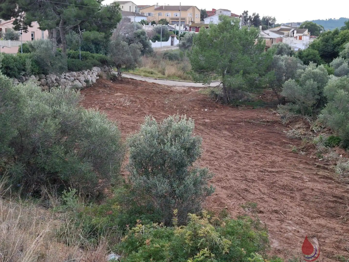 Terrenos y solares en venta en Albinyana, imagen 4