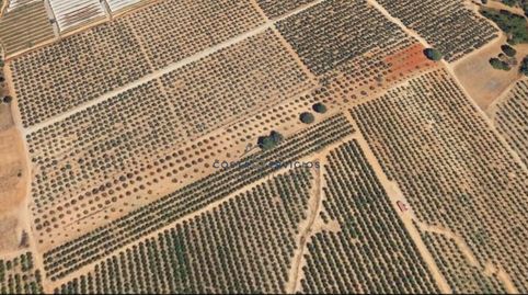 Terreno agrario 1Hectarea