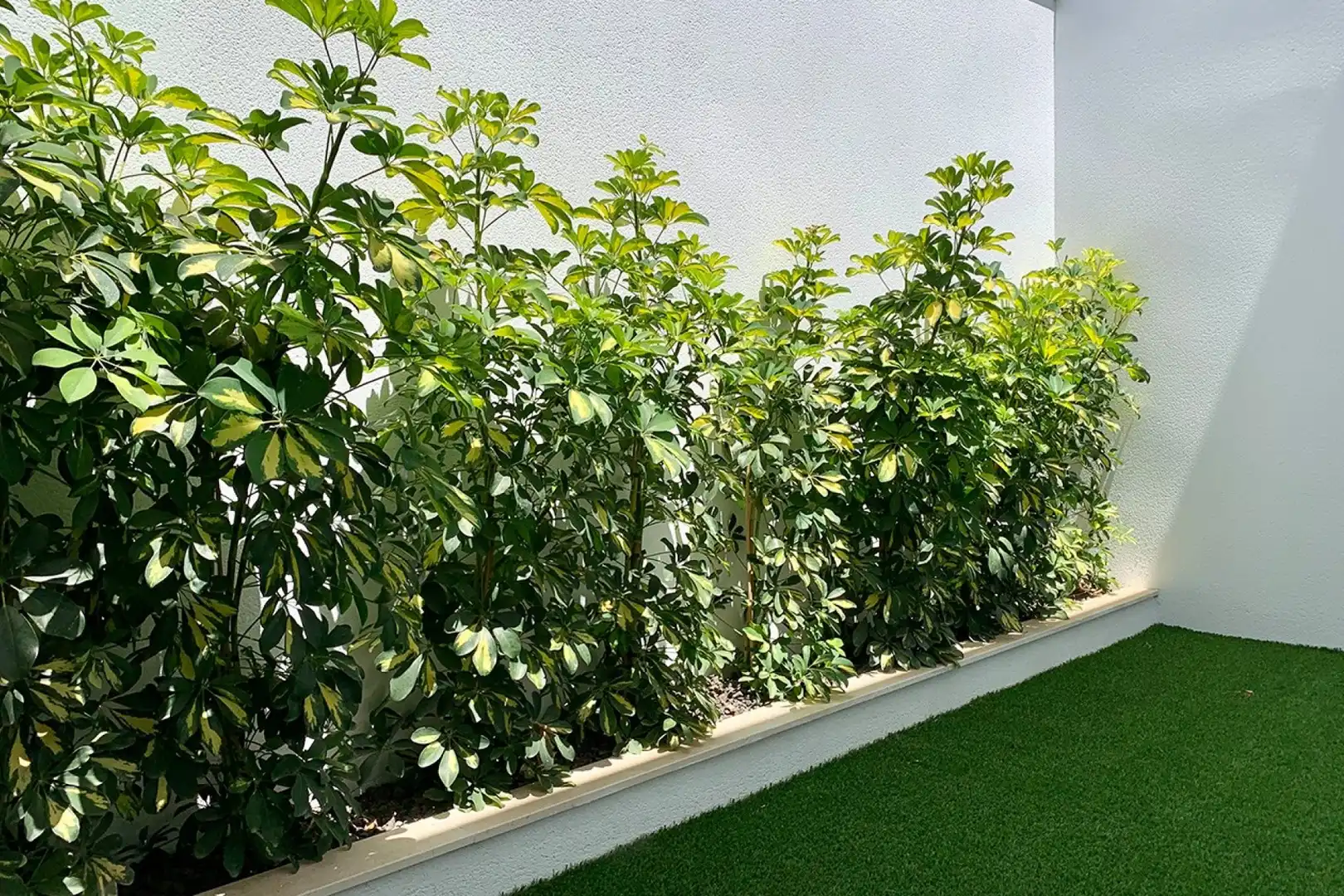 Villa con terrazza in vendita a Playa la Concha, imagen 11