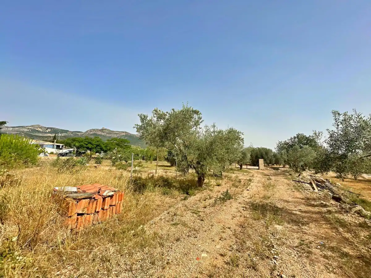 Casa o xalet en venda en Xerta amb Terrassa