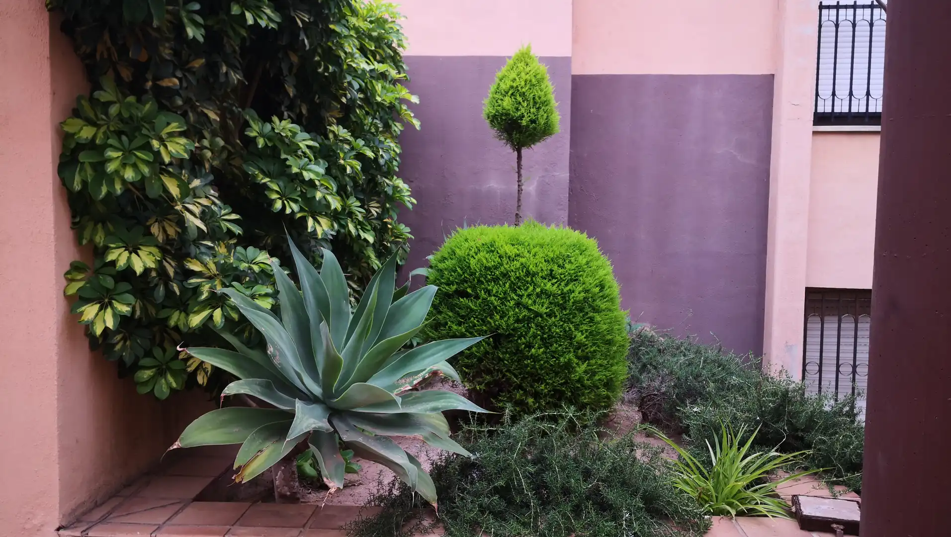 Garden of Ground floor for sale in Cartagena  with Private garden, Oven and Internet