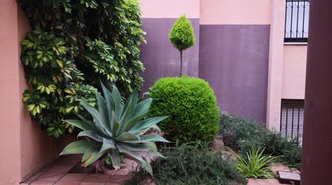 Photo 3 of Planta baja for sale in Casco Antiguo, Murcia