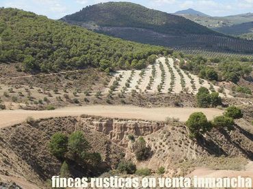 Terreno rustico in vendita a Cabra del Santo Cristo