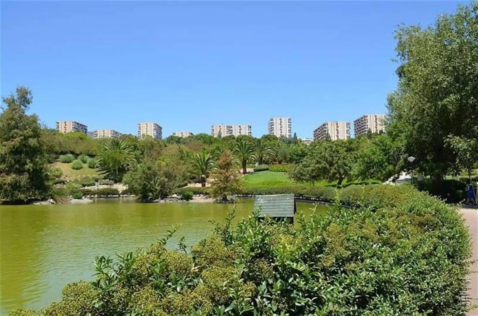 Apartamento con piscina en venta en Avenida GAMONAL, imagen 29