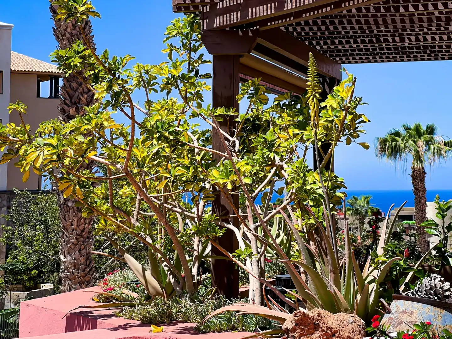 Garten von Wohnungen zum Verkauf in Adeje mit Klimaanlage, Terrasse und Möbliert