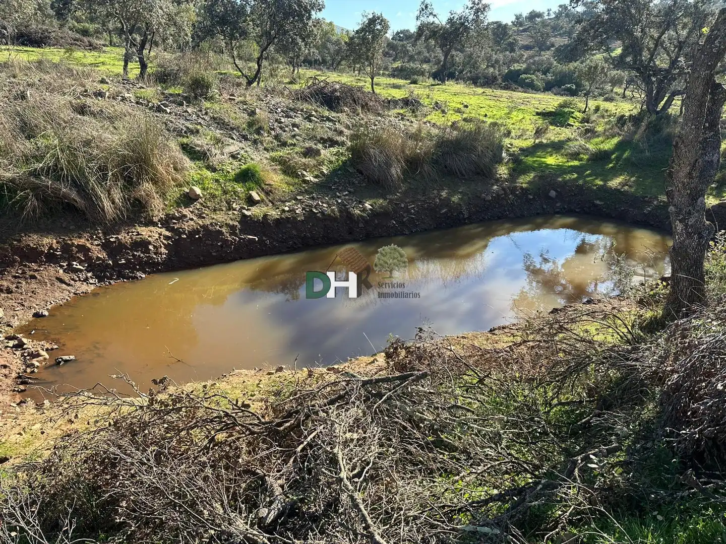 Terreni e lotti in vendita a Carretera de Sevilla - Los Montitos, imagen 6