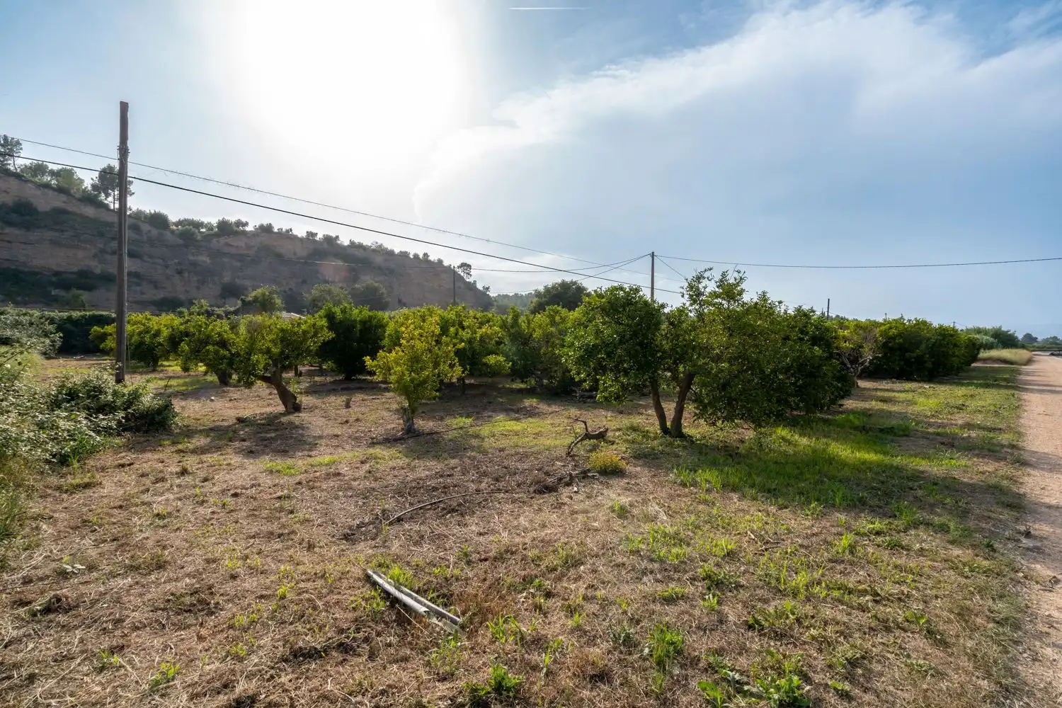 Local en venta en Aldover