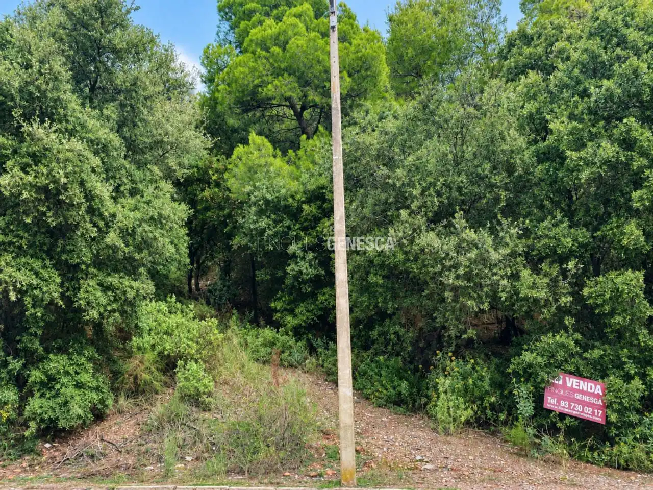 Terrain résidentiel à vendre à Calle CamÍ Moliner 35, imagen 3