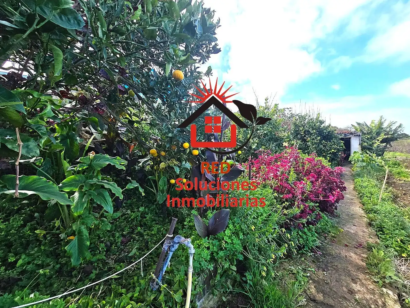 House with garden for sale in LOMO BERMEJO, imagen 29