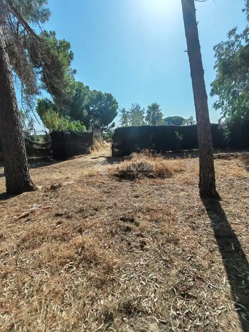 Terreno en venta en Marchena