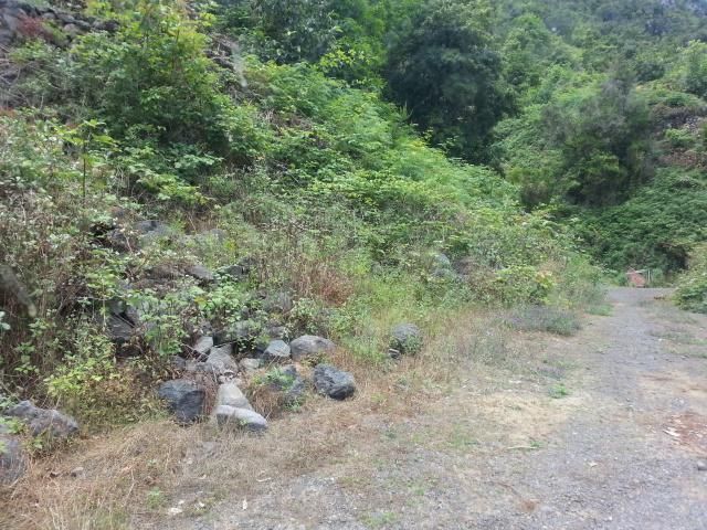 Terreno en venta en San Andrés y Sauces