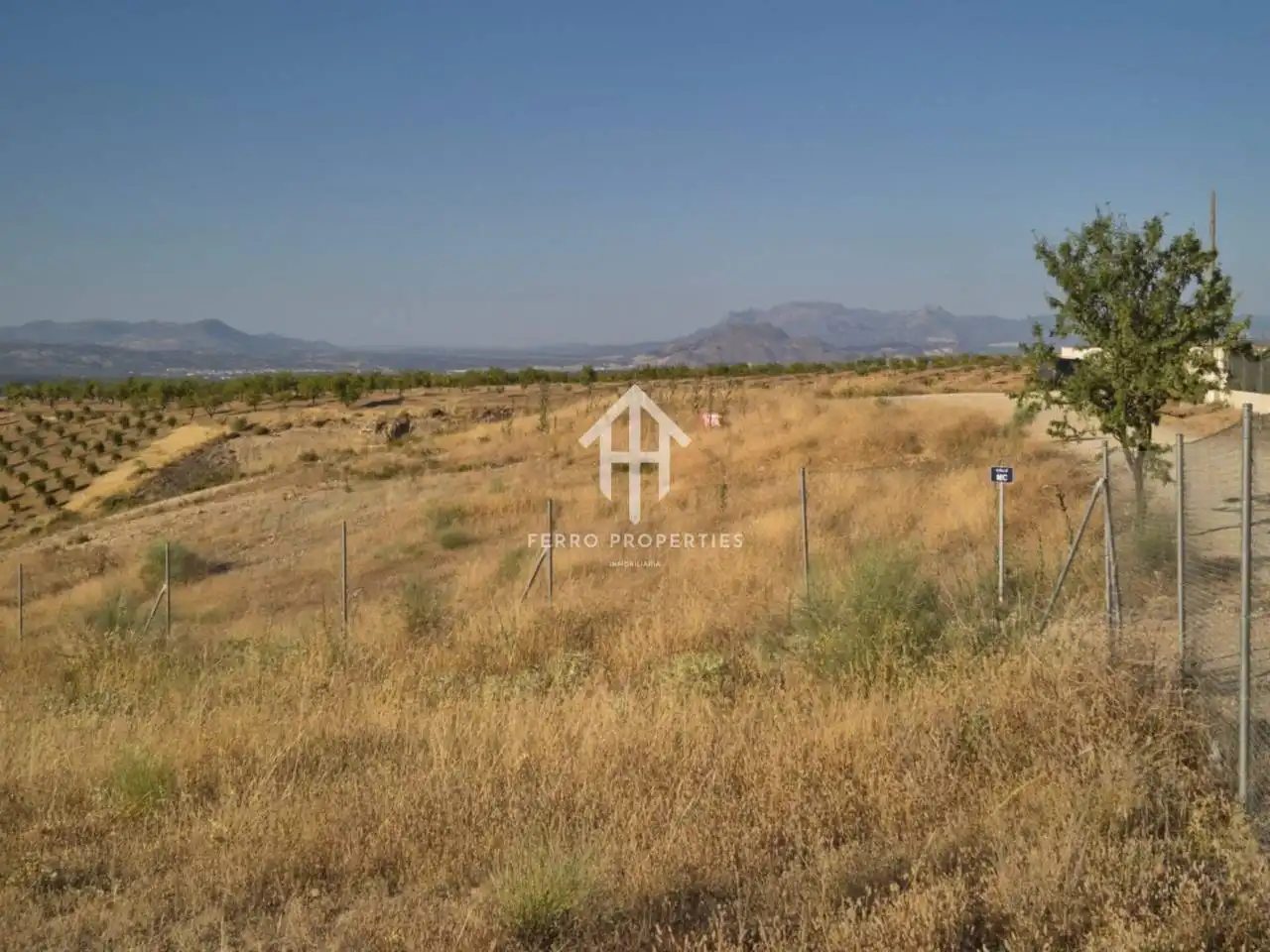 Rural land for sale in Moraleda de Zafayona, imagen 6