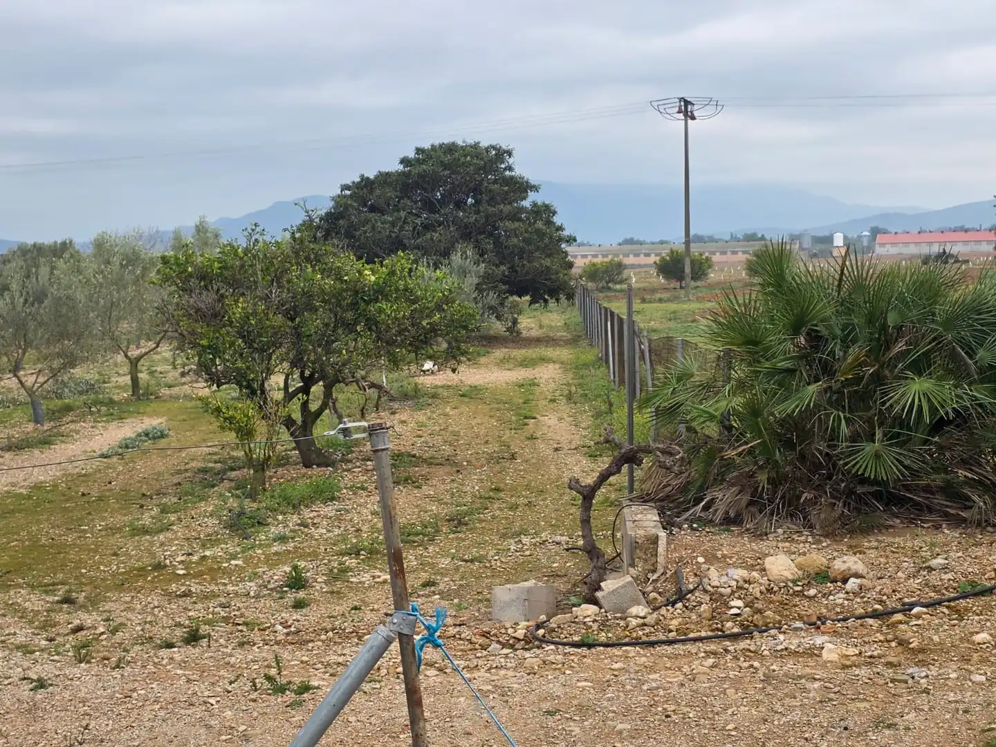 Terreno rustico in vendita a Santa Bàrbara, imagen 42