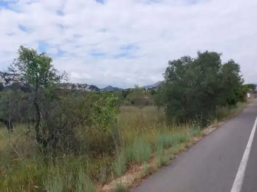 Land for sale in Orba