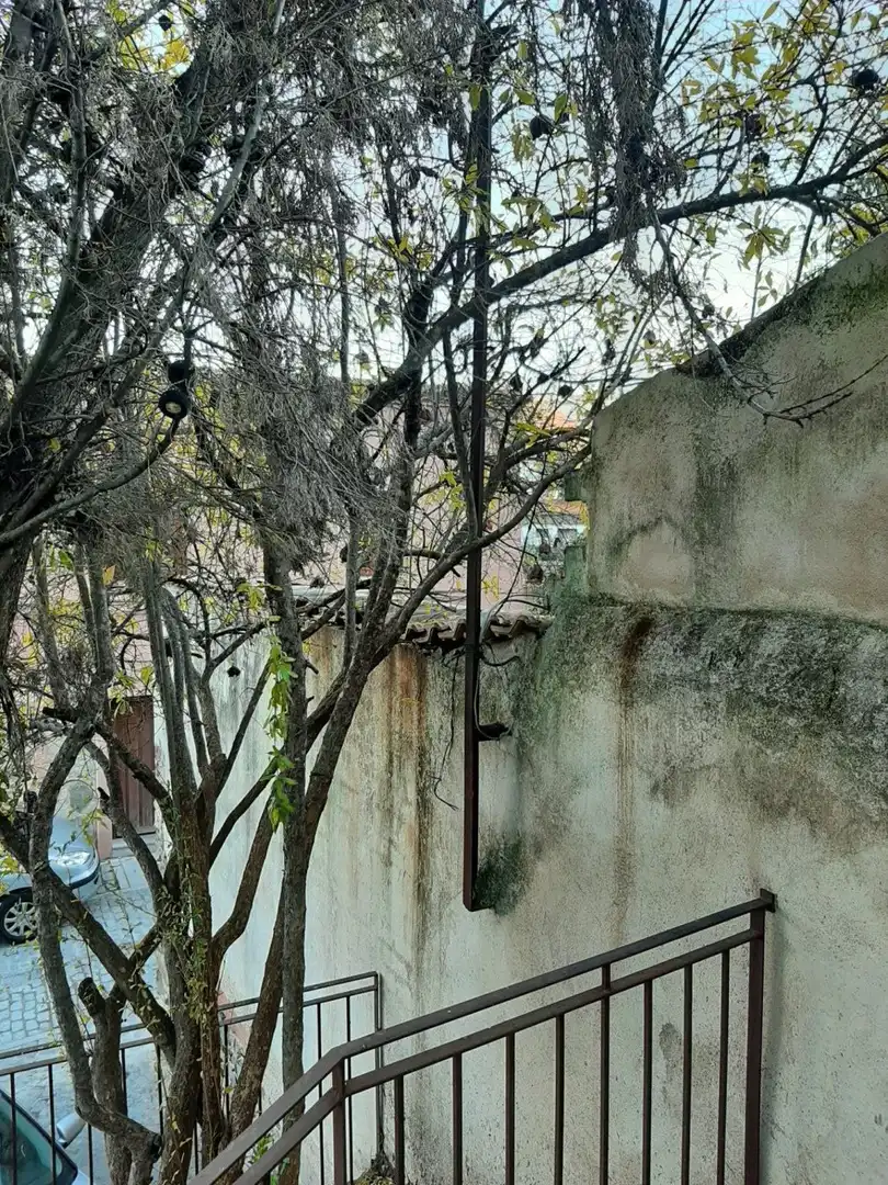 Terreni e lotti in vendita a Casco Antiguo, imagen 5