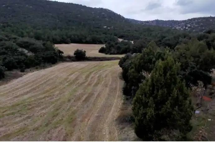 Finca rústica en venda en Castellón de la Plana / Castelló de la Plana