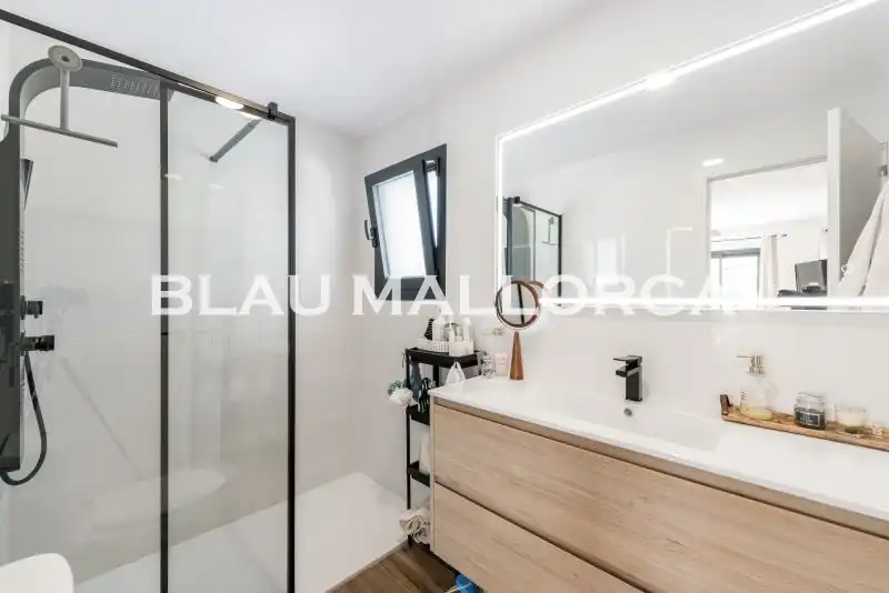 Badezimmer von Einfamilien-Reihenhaus zum Verkauf in  Palma de Mallorca