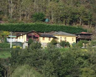 Exterior view of House or chalet for sale in Tineo  with Private garden