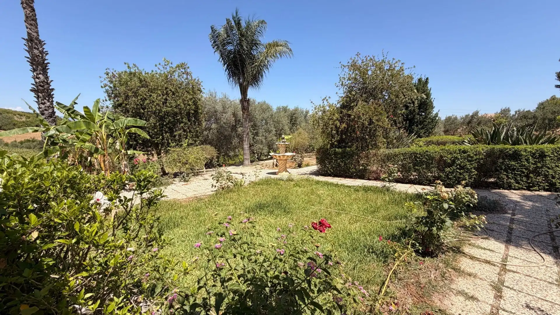 Finca rústica en venta en Centro