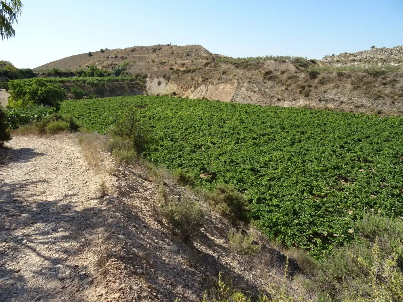 Casa o xalet en venda a Pedanías Este