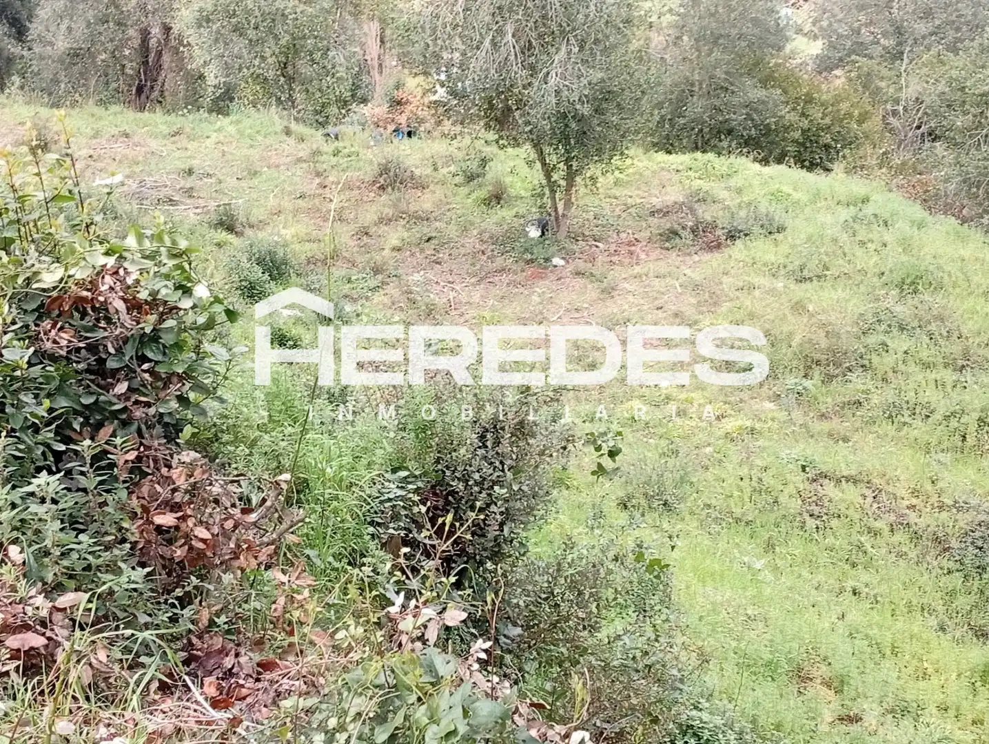 Terreno residencial en venta en Carrer Finestrelles 4, imagen 19
