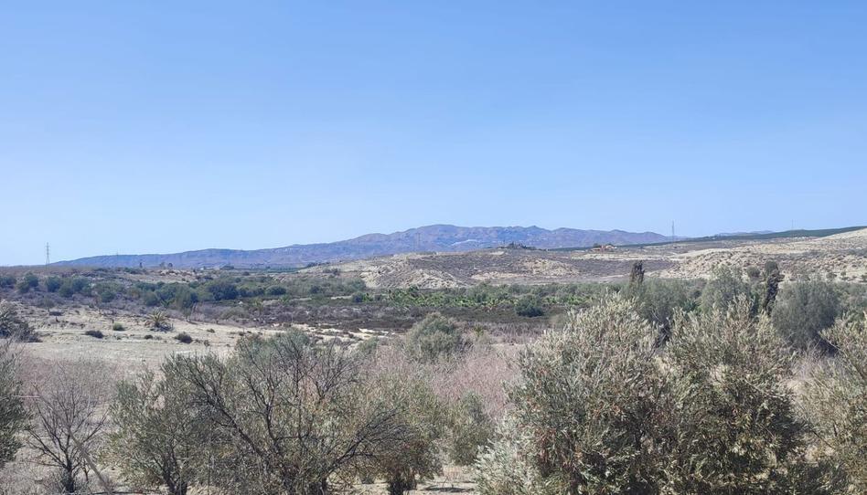 Foto 1 de Finca rústica en venda a Mojácar Pueblo, Almería