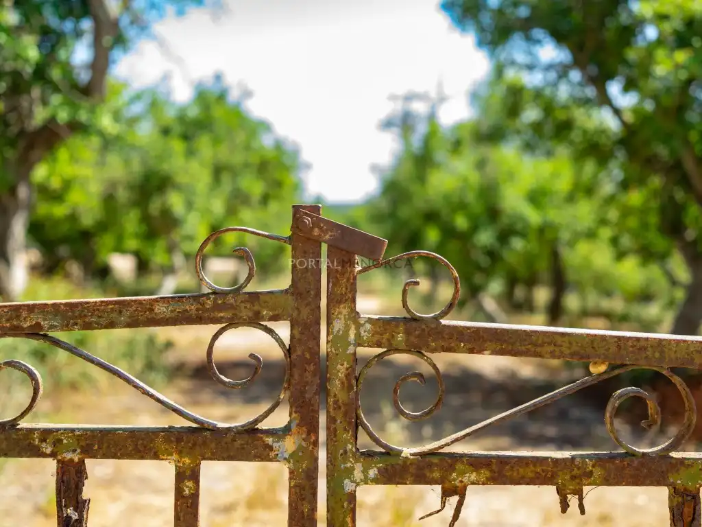 Maison rustique à vendre à Camí d'En Kane, Santa Rosa de Llima, imagen 4