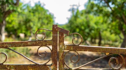 Foto 4 de Finca rústica en venta en Camí D'en Kane, Santa Rosa de Llima, Alaior poble, Alaior