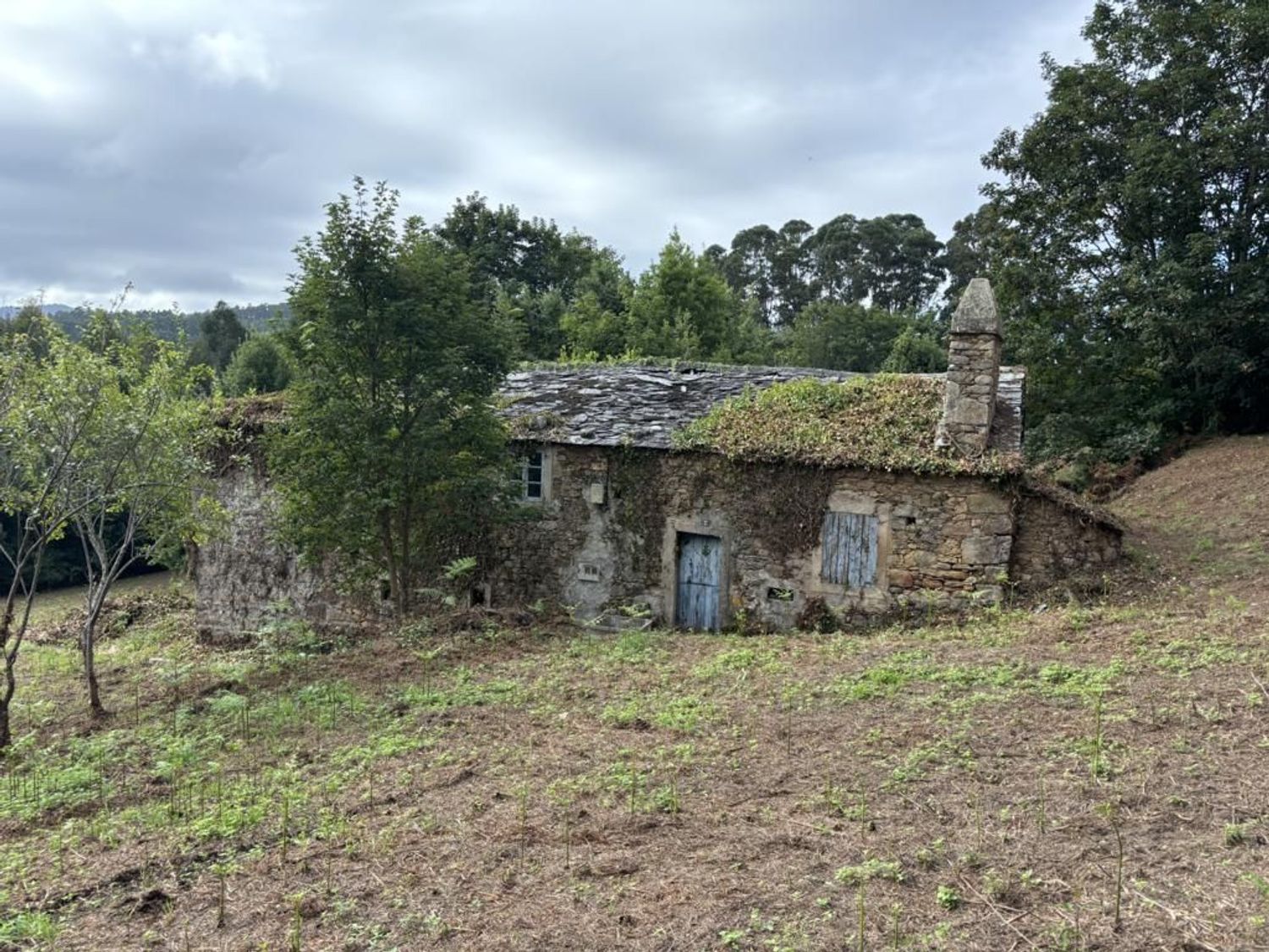 Exterior view of Country house for sale in O Vicedo 