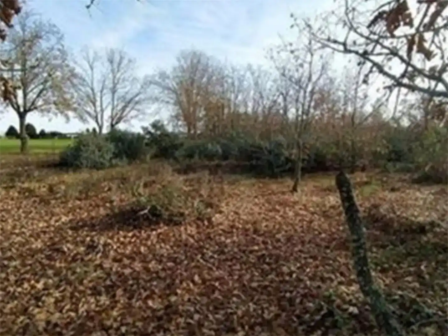 Finca rústica en venda en Valverde de la Virgen
