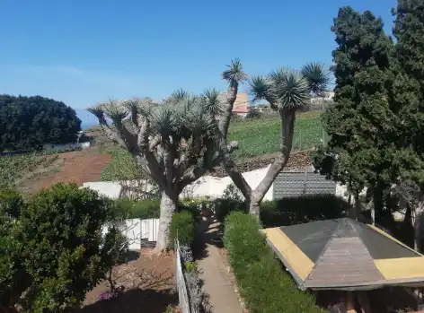 Villa mit Pool zum Verkauf in Camino de la Mina 10, imagen 44