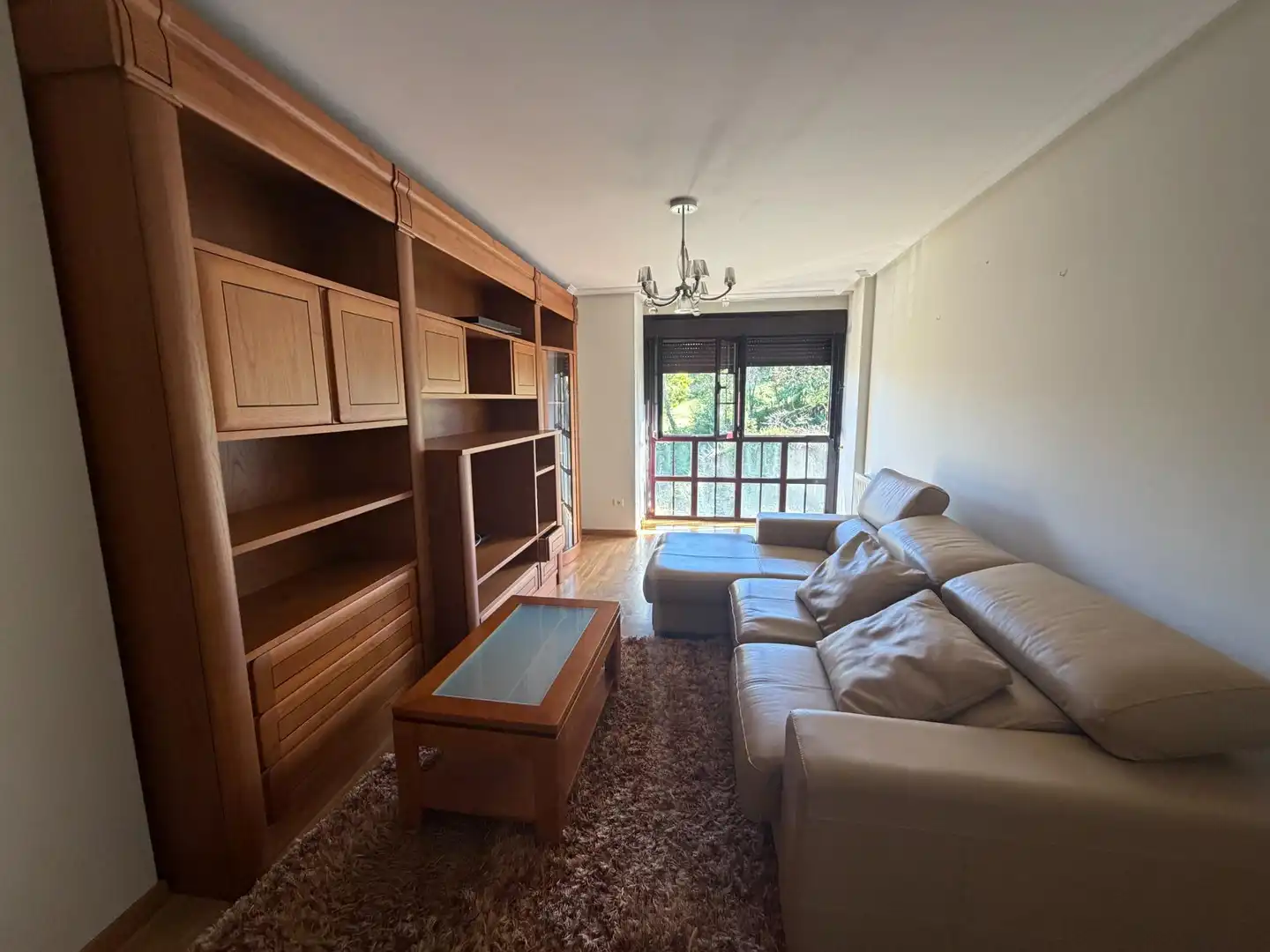 Living room of Flat for rent in Nava, Asturias