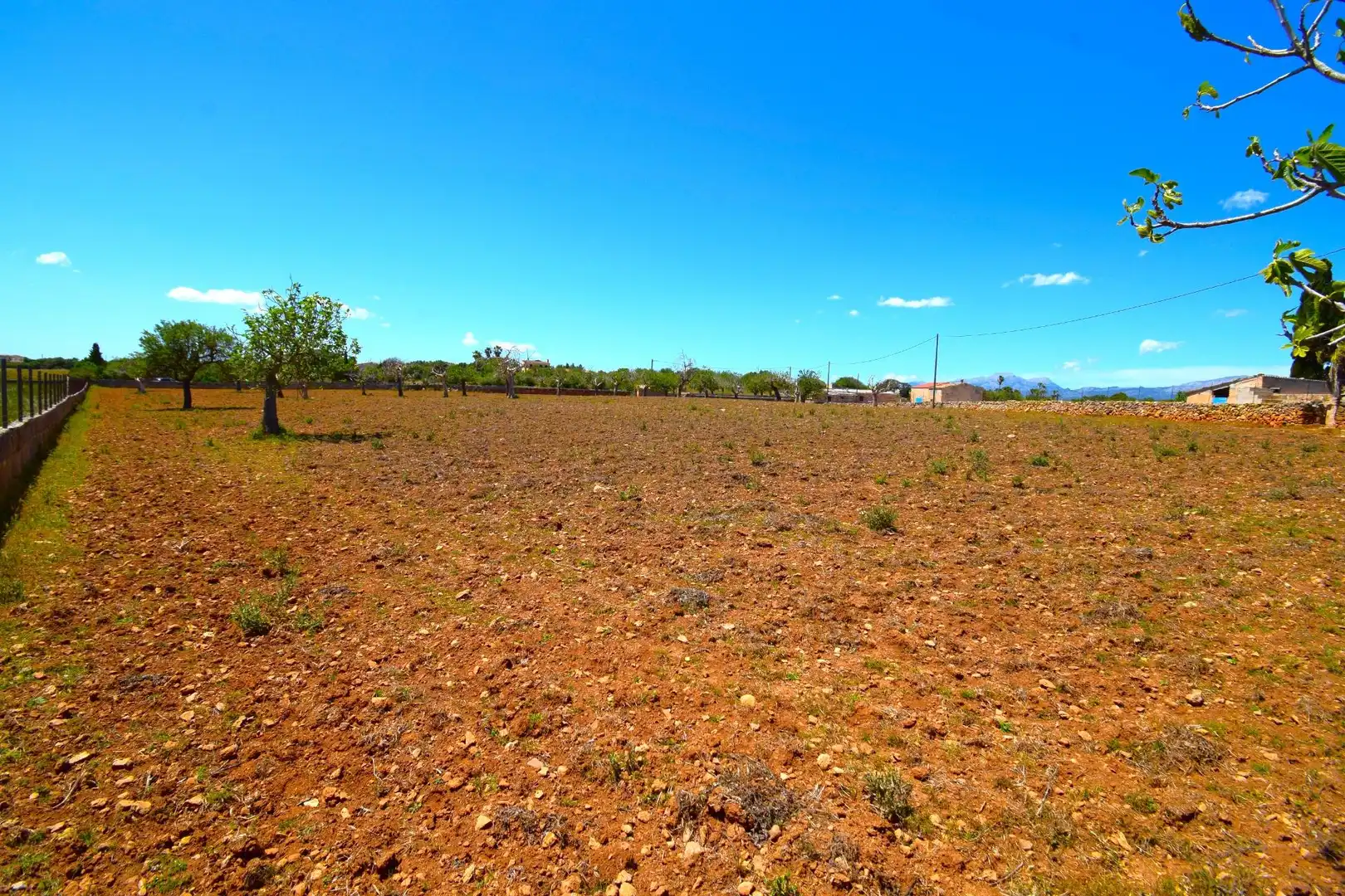Residential land for sale in Santa Margalida Poble, imagen 5