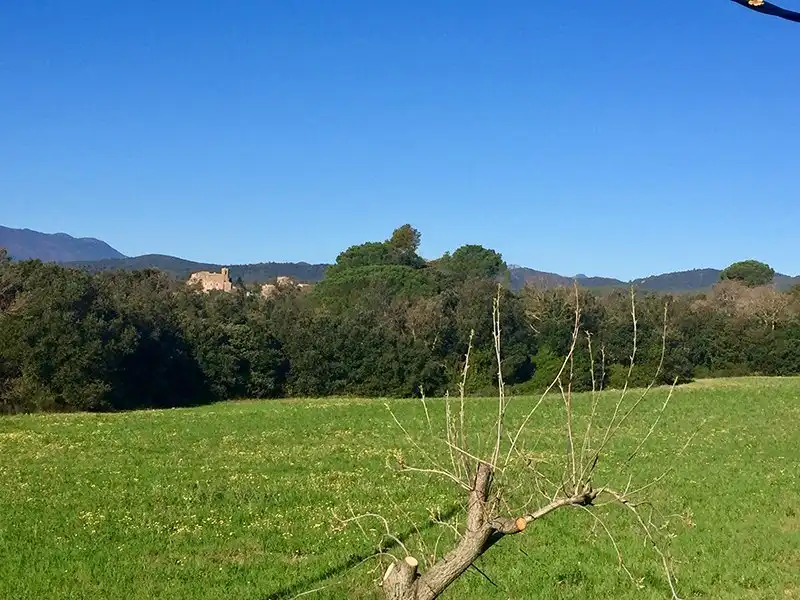 Country homes for sale in Cistella